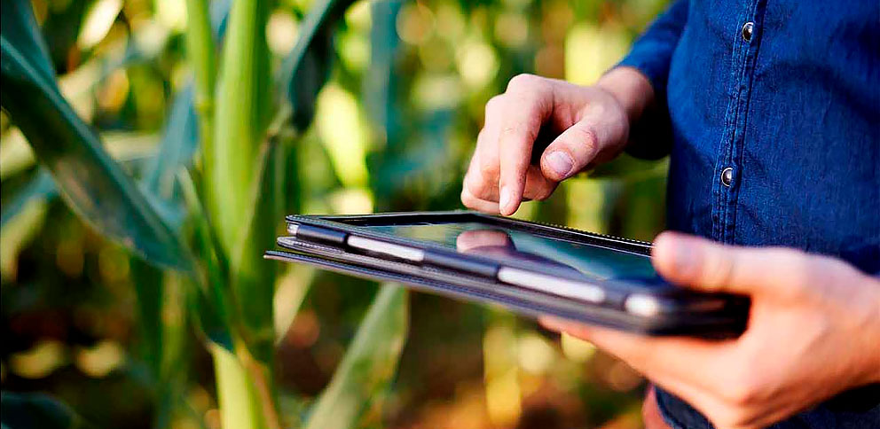 Resource lança solução de IoT com foco no agronegócio