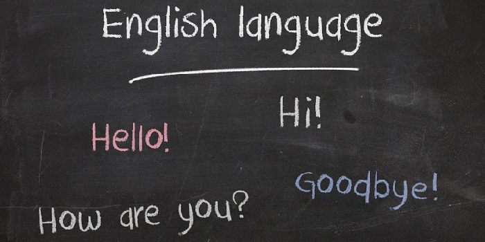 Como divulgar online uma escola de idiomas?