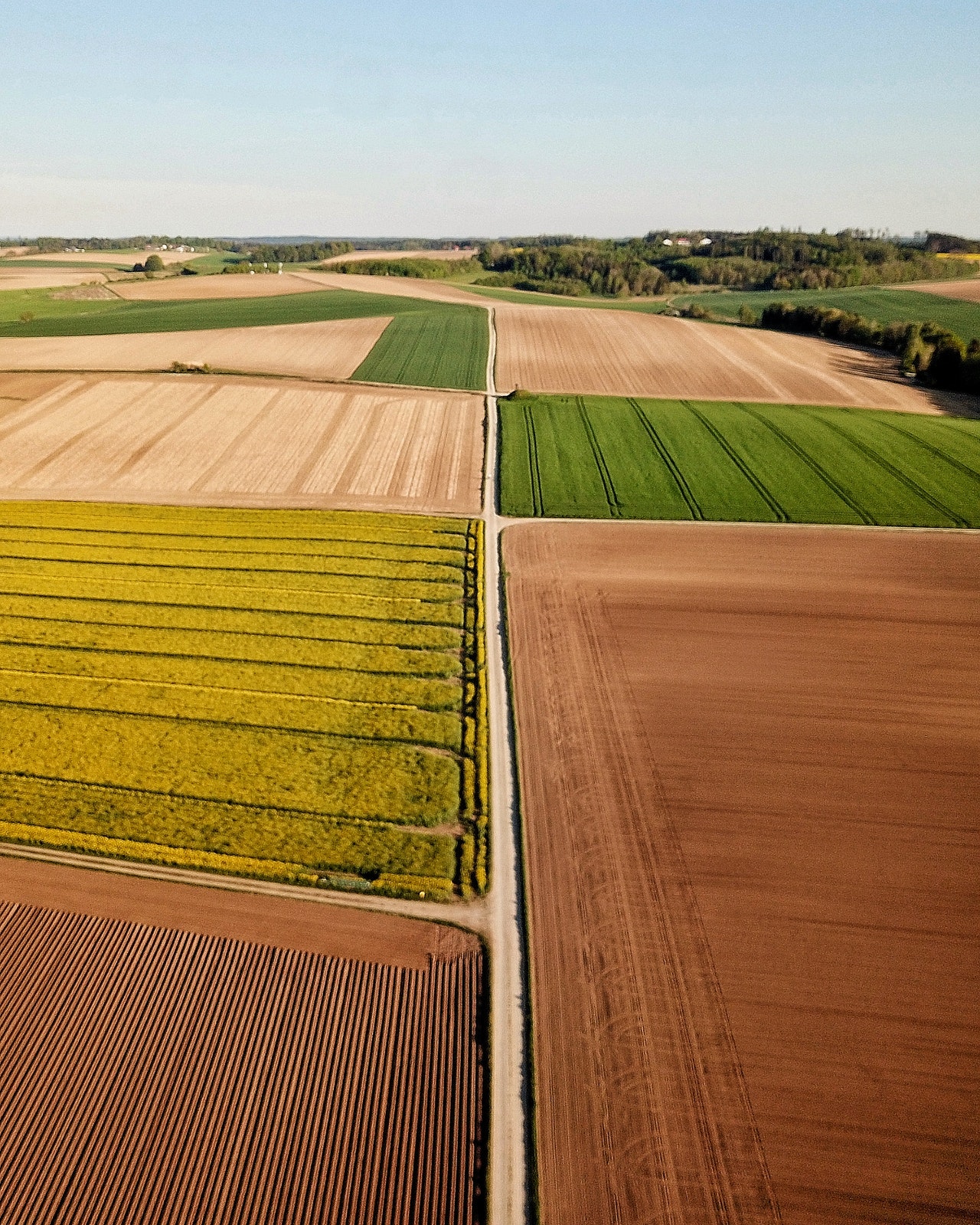 Supercampo firma parceria com banco digital do agronegócio e oferece produtos financeiros exclusivos sem garantia atrelada para os seus cooperados