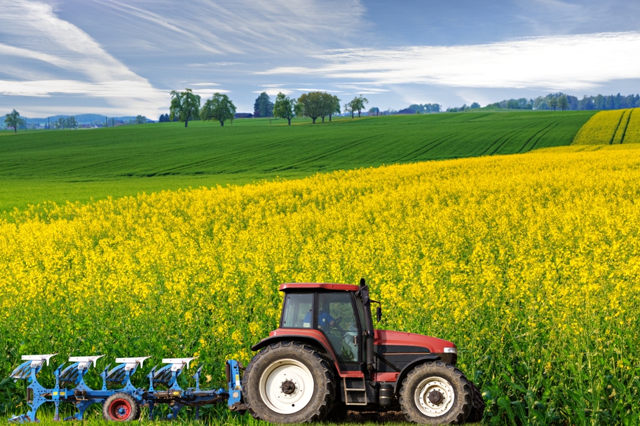 Seguros minimizam os impactos financeiros de perdas na agricultura