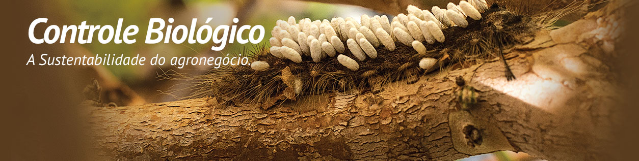 Artigo: Biopesticida