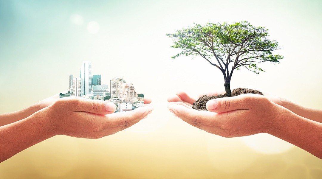 Sonda Ativas divulga resultados conquistados com projetos de sustentabilidade