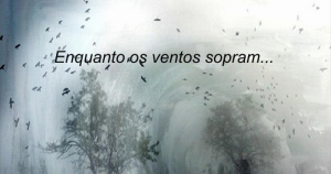 Enquanto os ventos sopram #GustavoRochaEmEssência