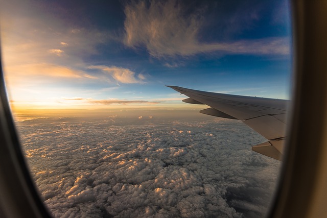 Importância do seguro de viagem em 2021
