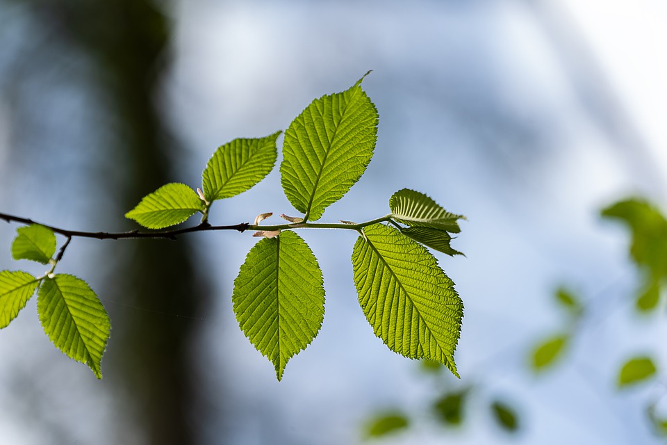 Urgência ambiental, modelos de negócio e desafios de ações públicas e privadas marcam o primeiro Circular Summit