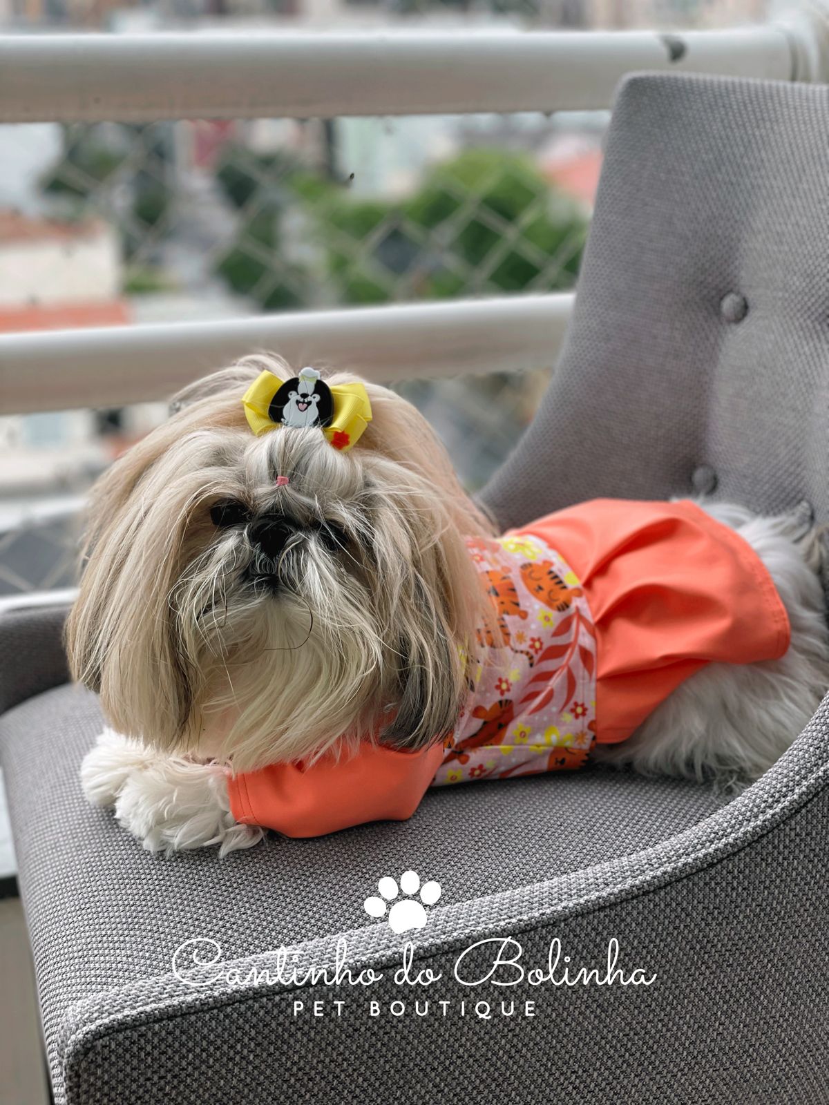 B Pet Health: Conheça a linha de roupas pós-cirúrgicas para cachorros