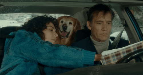 Londrina recebe 8 ½ Festa do Cinema Italiano