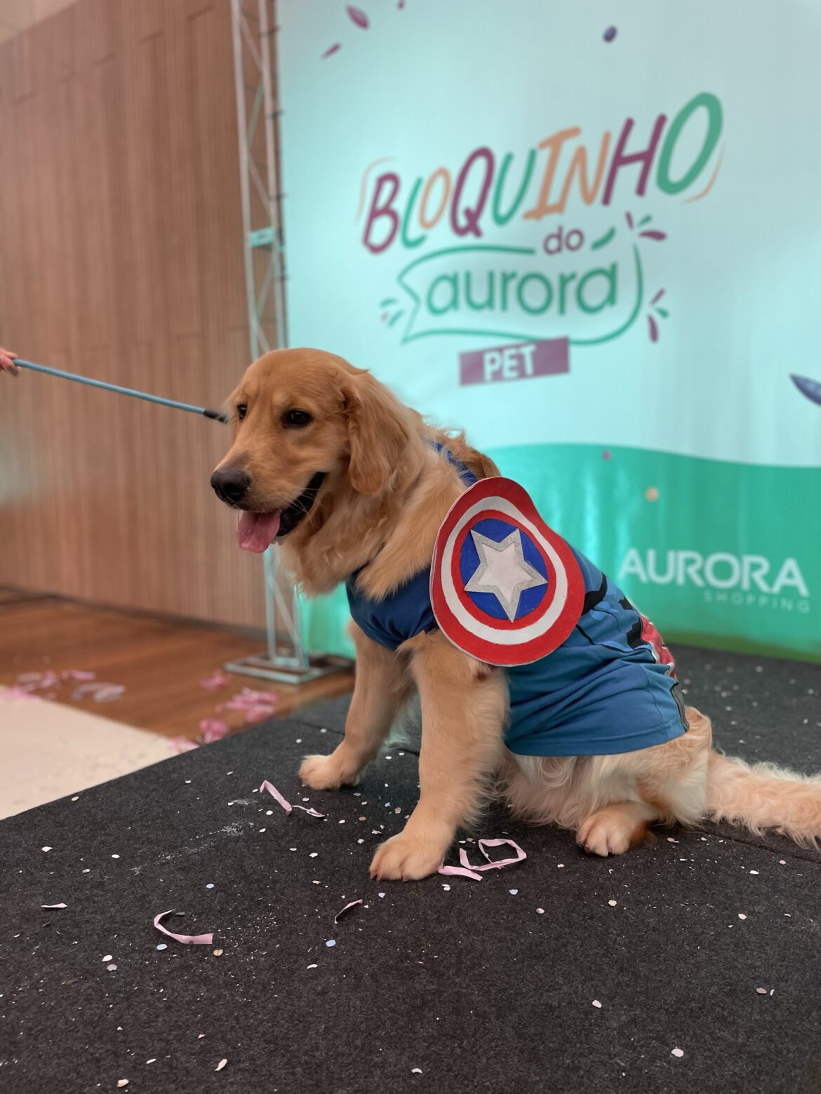 Pets no salão: Shopping promove carnaval para foliões de quatro patas
